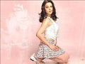 preity_zinta05