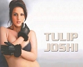 tulipjoshi2